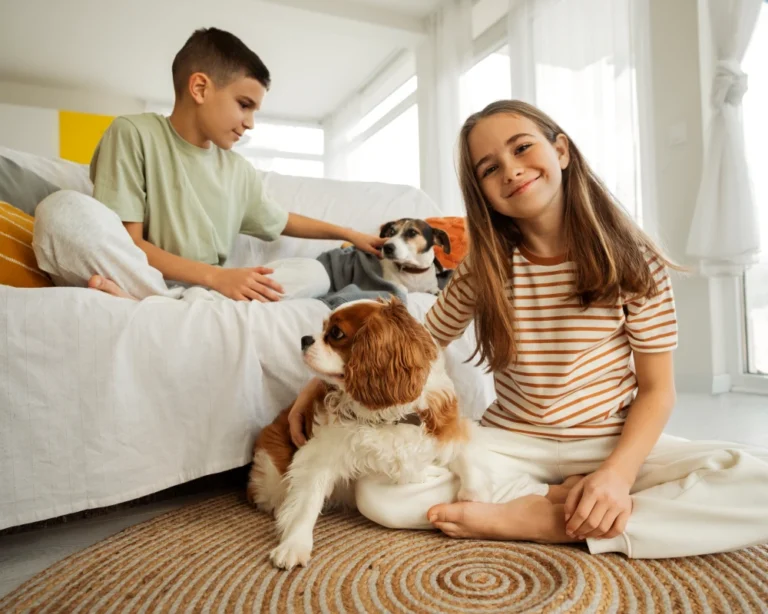 automatic water feeder dogs