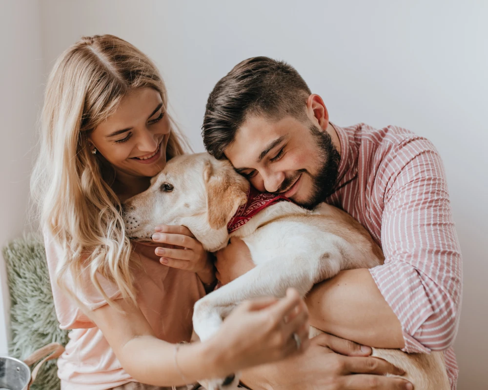 pets automatic pet feeder