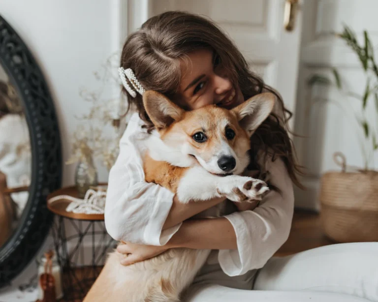 best automatic pet feeder for dogs